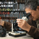 『OIだより（4800回記念）（74）一隅の灯（48）』の画像