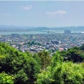 墓地から我が町を見下ろしますと、熱気が籠もりモヤ状態でした(^-^;