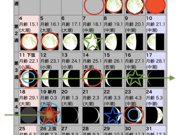 今年も頑張って生きましょう