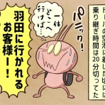 セニョリータかめのバルセロナ生活