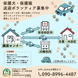 NPO法人みなしご救援隊犬猫譲渡センター東京支部のblog