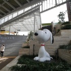 『南町田グランベリーパーク駅前工事現場＆地図　2022/03/12』の画像