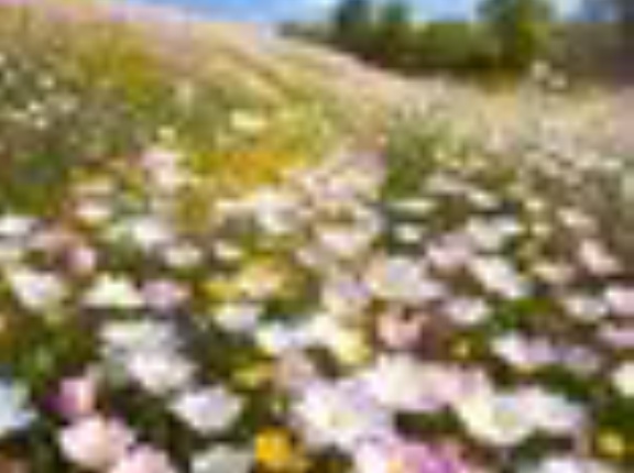 【占星術相談】２０歳の娘、受験に失敗、希望と違う学部に進学。このまま進みたくないと今年また受験予定。時間とお金かけて進路変更、この決断間違っていないのか？