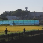 『Askar135による2023年秋の気配③～ひつじ電車編　　2023/09/22』の画像