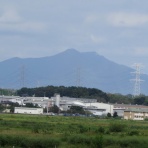 花鳥いろいろ 四季の野鳥