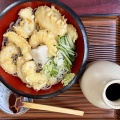 函館市本通1丁目 そば処 東京庵 本通店 その8  いか天おろし(冷)850円 日替わりそば定食(月曜日・冷)800円