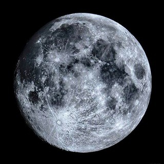 まるまるの軌跡