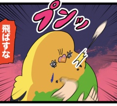 カチョちゃんのラブリーなプレゼント🎁いらない