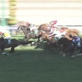 【競馬】今年の3歳は最強世代っぽい