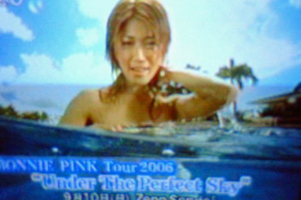 ウェットティッシュ Muzik