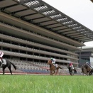 東京9神奈川新聞杯＆東京11京王杯２歳ステークス（G2）