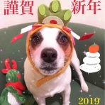 アボちゃんのアボカドブログ