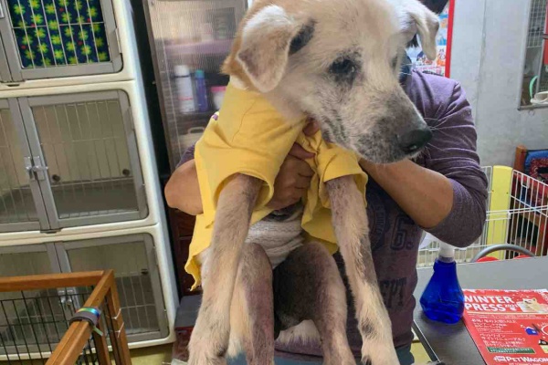 幸せになろうね