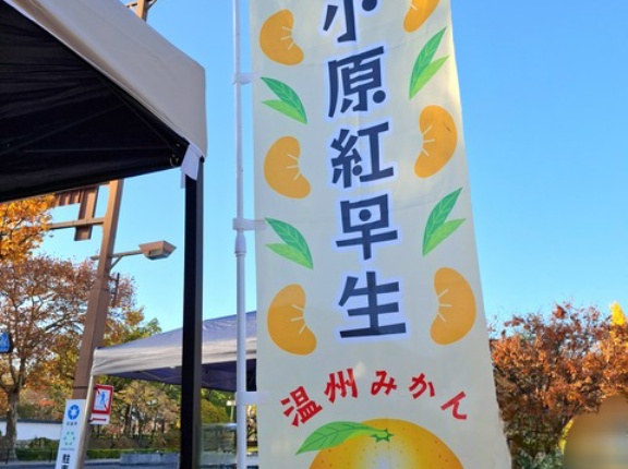 northfarm きたさんち　香川県坂出市