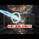 火事に遭遇した蝶たち