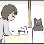 めずらしい猫パンチ