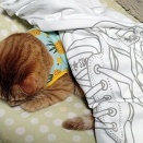 かあちゃんの匂いが好き･･･