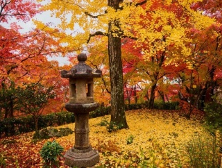 海外「紅葉に染まる関西はまるで異世界みたいだ！」秋の関西旅行に対する海外の反応