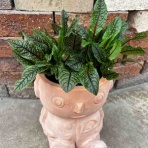 大洋グリーンブログ