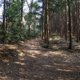 『小見坂上バス停から吾国山、難台山、愛宕山へ』の画像