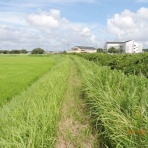 市原市に憲法と地方自治を活かす会