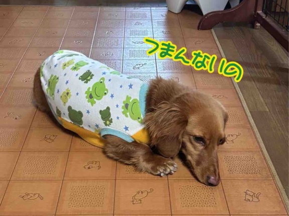 パパ不調。んでもって喧嘩。