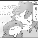 ねこちゃんのこと