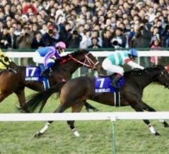 【マイルＣＳ2025予想】