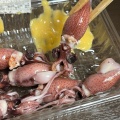この時期のホタルイカ、流石に美味すぎる……