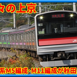 湘南色の部屋（Shonan-color train）