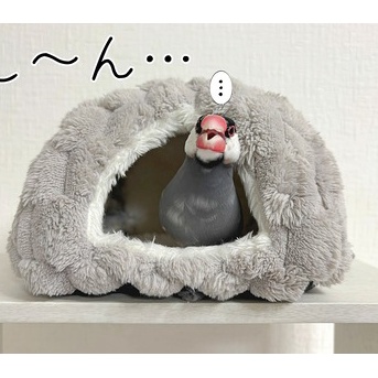 野生の勘が冴えていたセラ