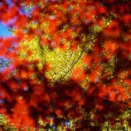 ちゃっぷの温泉・ハイキングブログ