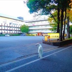 いんちょブログ