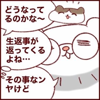 テキスト移行する前に話は進んだけど…？ドラレコを日本人妻に調べさせたいベルギー人夫⑦