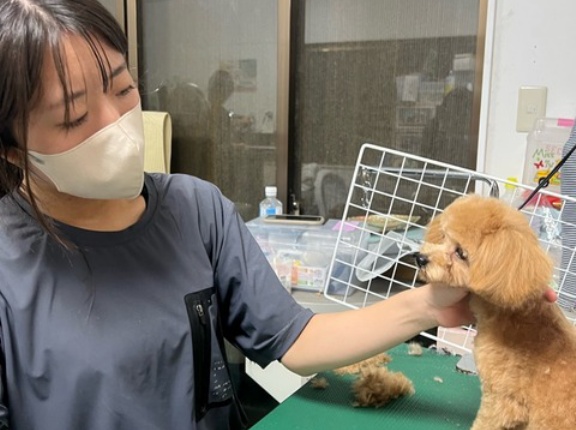本日もお疲れ様でした🙇‍♀️🙏🐶