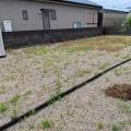 除草作業除草剤散布　年間管理鈴鹿市H様邸