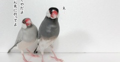 次からは自分で食べてね？