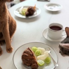 優雅に寝そべるひめちゃんですが、そこは…