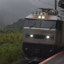 雨の午前中に駆け抜けるJR貨物　金太郎号　EF510-308
