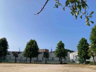 午後活　暑いから空活はなし（笑）いつもの公園　クマゼミハンター　松山空港　夕食は揚げ出し豆腐