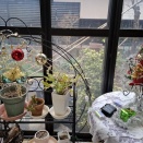 ドッキリした息子の言葉