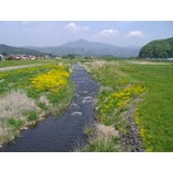 ػںΤ˹ԤäƤޤ٤β