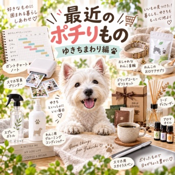 【お買い物マラソン】お買い物日記