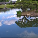 【Divergent】新講座が目指すもの