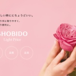 『2025年9月発売 SHOBIDO L』の画像