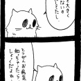 ドワーフキャットタオルちゃん78