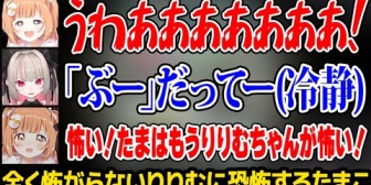 【にじさんじ】全く怖がらないりりむを怖がるたまこw
