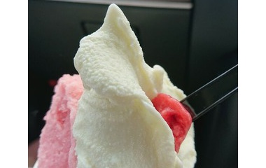 『ハコニワジェラート』の画像