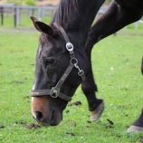 『原因』の画像