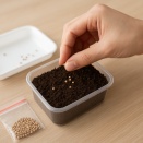 水耕栽培で種を採る方法とコツ